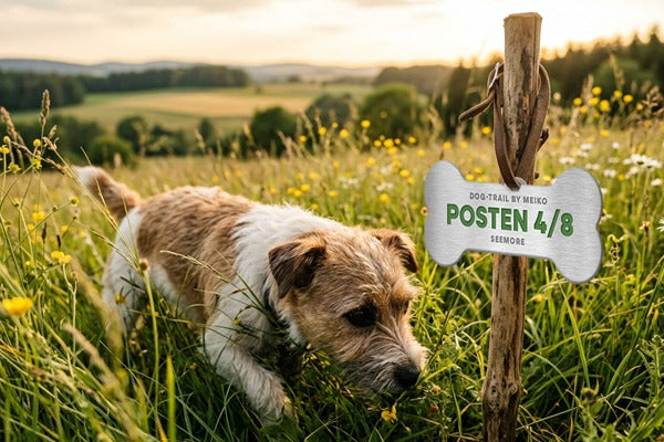 Dog-Trails