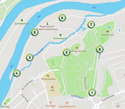 #201 DOG-TRAIL - Aarau