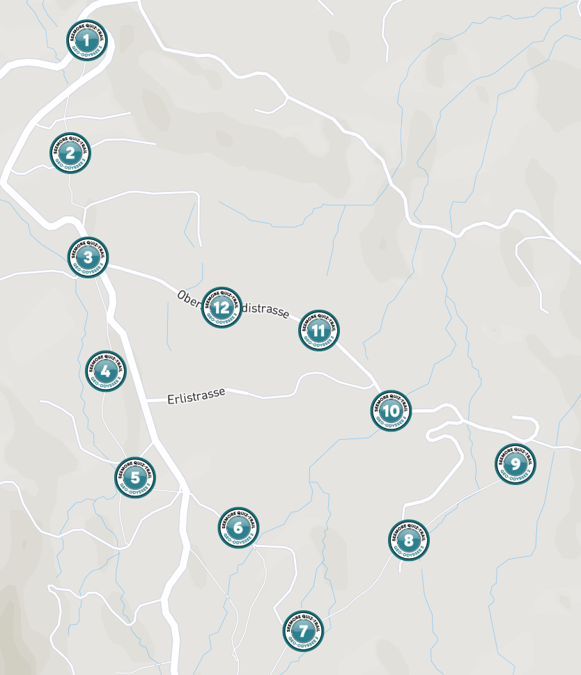 QUIZ-TRAIL Geo Odyssee no. 2 - Pfäffikon