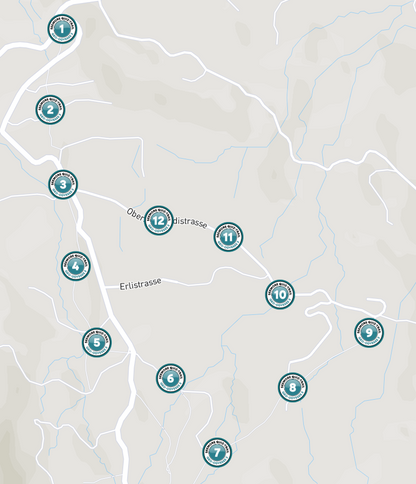 QUIZ-TRAIL Geo Odyssee no. 2 - Pfäffikon