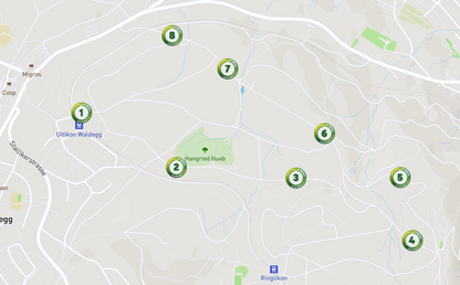 #201 DOG-TRAIL - Uetliberg (Zürich)